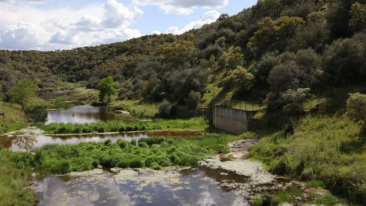 Rio Tamuja - Extremadura